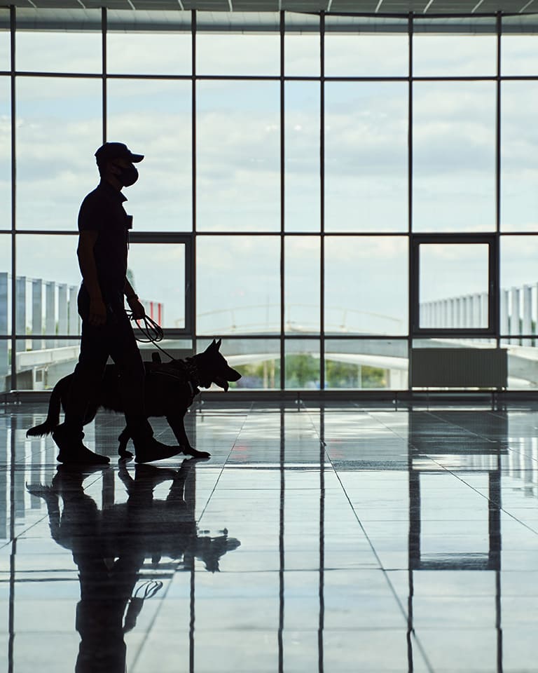 AdobeStock_442299189 Personen- und Objektschutz_1